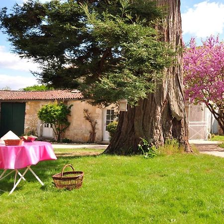 Le Logis Du Plessis Bed & Breakfast Chaniers Ngoại thất bức ảnh