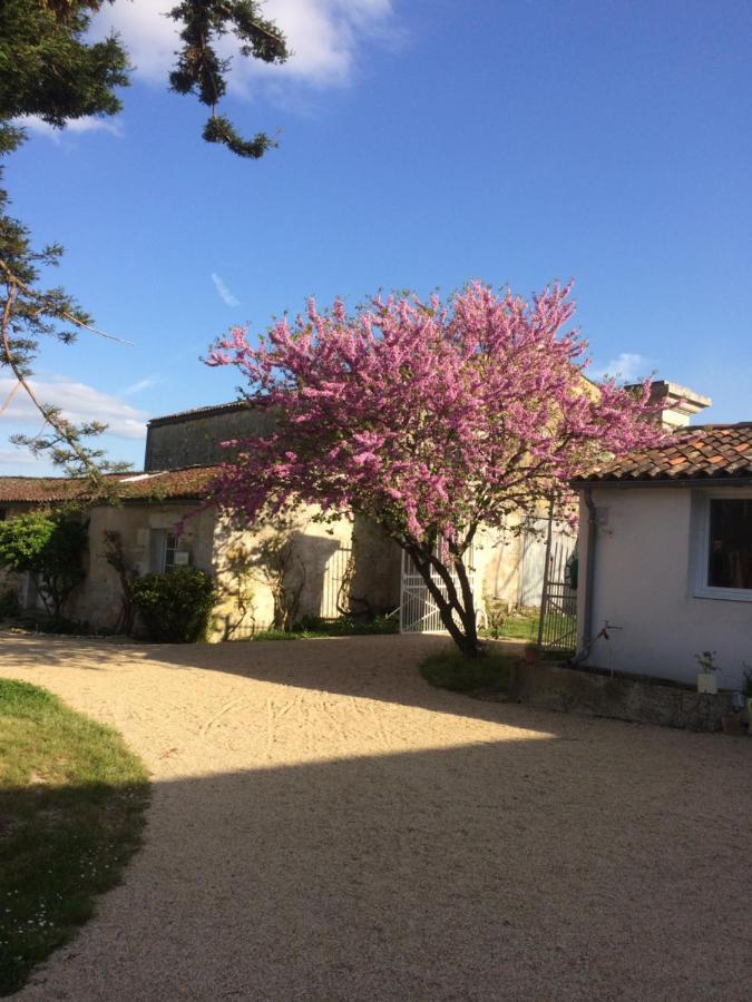 Le Logis Du Plessis Bed & Breakfast Chaniers Ngoại thất bức ảnh